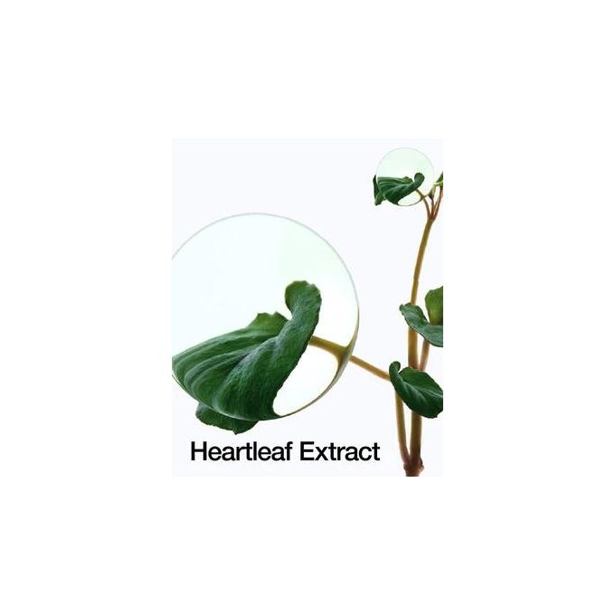 Anua Heartleaf 77% Soothing Toner 250ml - Daily Calming & Moisturizing pH Balancing Toner
