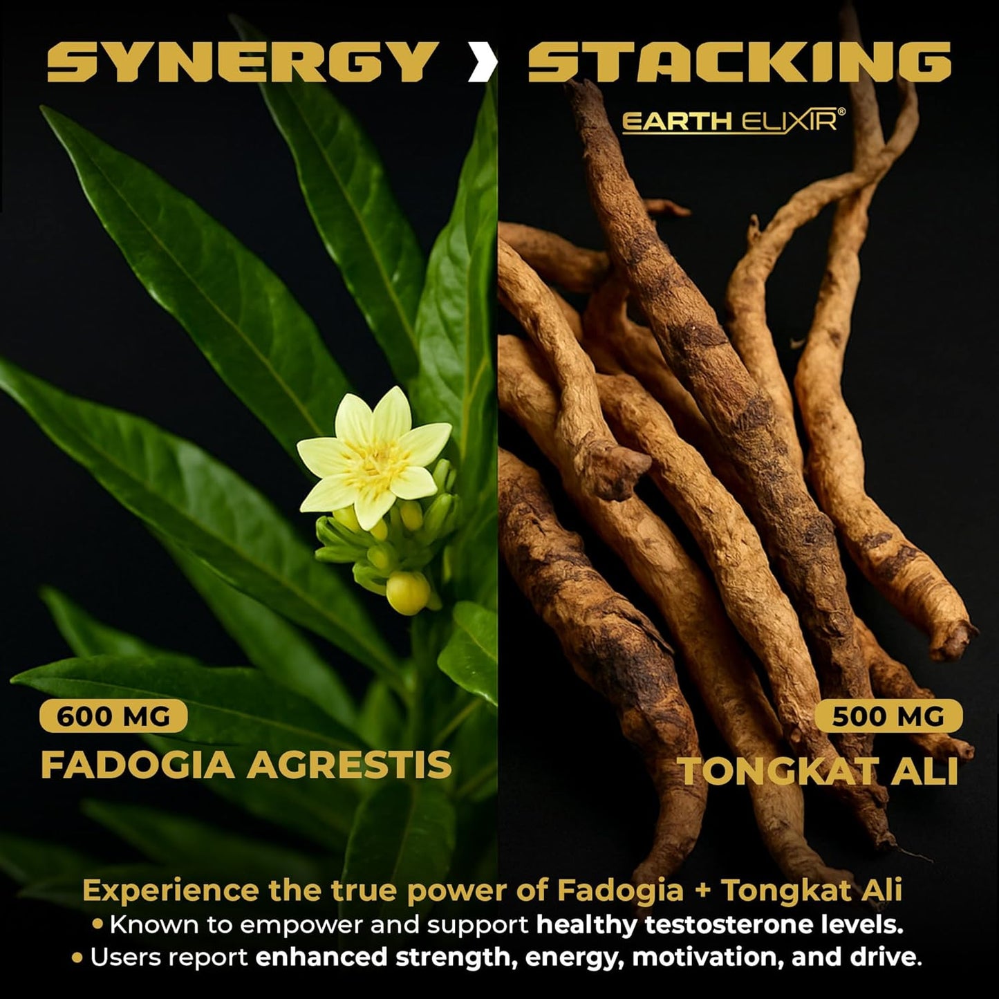 Tongkat Ali 500mg + Fadogia Agrestis 400mg Complex - Testosterone & Vitality Support - 60 Capsules