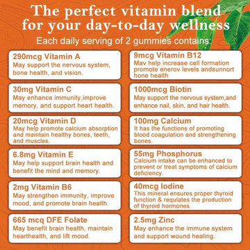 Daynee Multivitamin Gummies with Calcium and Zinc