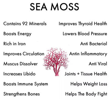 List of benefits and properties of sea moss on a white background with a red sea moss 