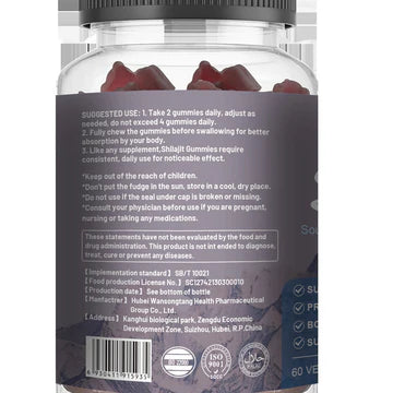 Himalayan Shilajit Gummies with Chaga and Ashwagandha (1000mg