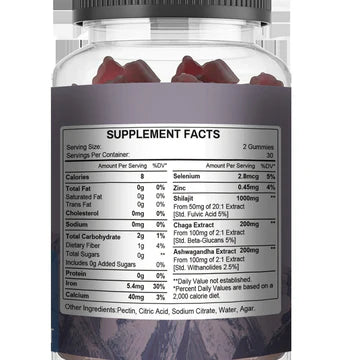 Himalayan Shilajit Gummies with Chaga and Ashwagandha (1000mg
